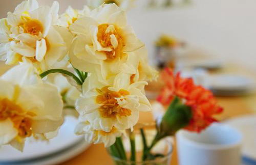 Flora Apartments - Photo 60