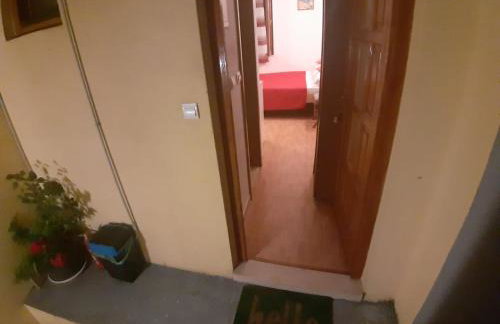 Apartments Knežić - Foto 52