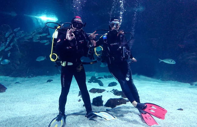 Bagno con gli squali all'Aquarium di Costa Teguise - Foto 2