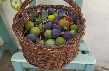 EL CONVENTO Vivienda Rural Jaén Andalucía España - Foto 40