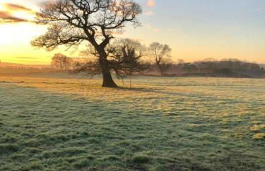 Anvil Cottage - Foto 33