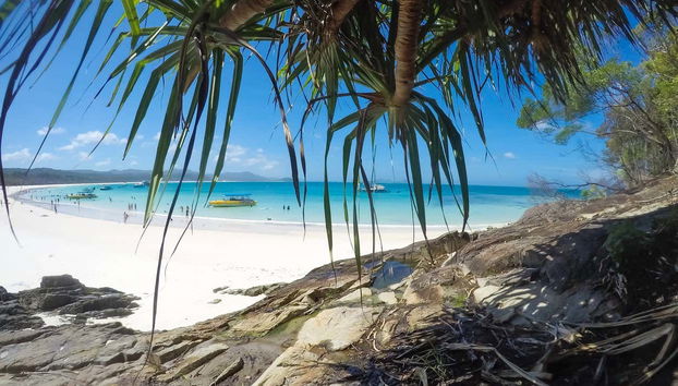 Nature at Whitsunday Islands National Park