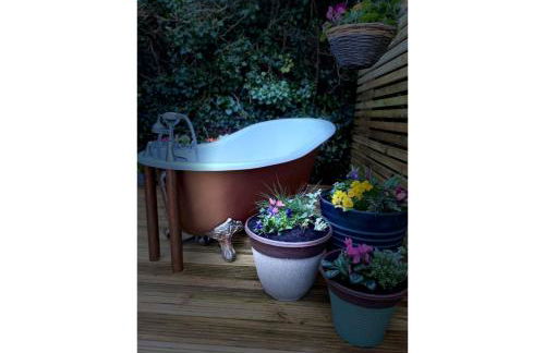 Polhawn Lookout, Whitsand Bay Cornwall - Photo 31