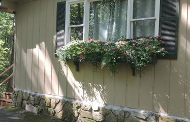 Waterfront cabin in the woods - Foto 50