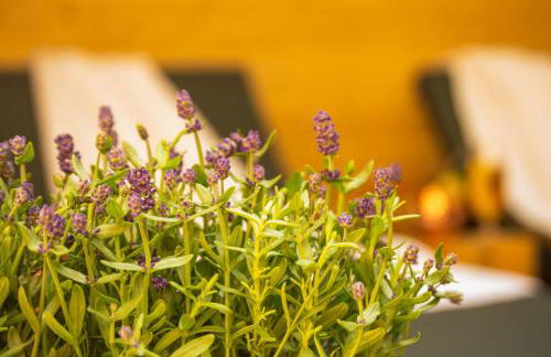 Harmonie und SPA in Triberg - Foto 35