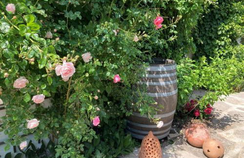 Austragshaus Almbranz - Foto 28