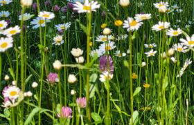 Tegernsee Chalet - Foto 53