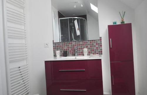 Studio & Gîte Zen de Beauval- 800 m du Zooparc - Photo 24