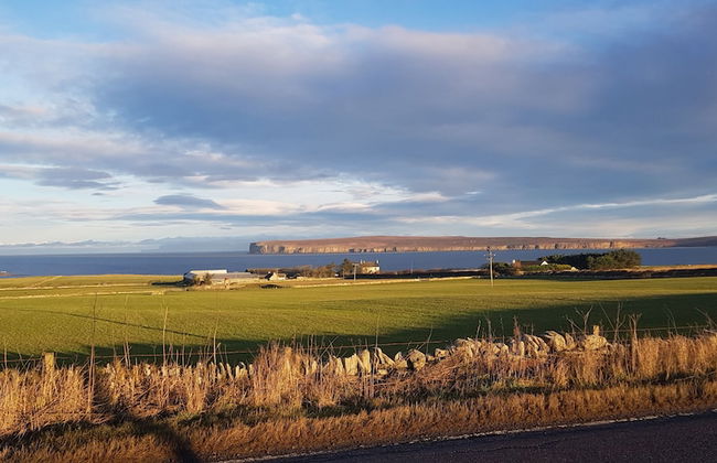 Apartment 65B - Photo 9