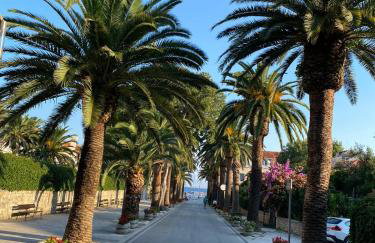 Dalmatino - apartment 6 - Photo 10