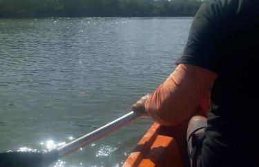 Chales Da Mata - Foto 50