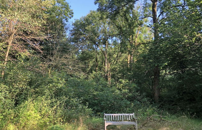 Drovers Retreat - Foto 25