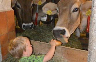 Veiter-Hof - Foto 30