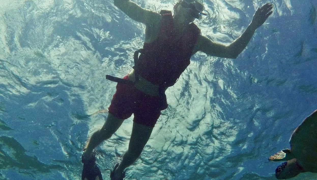 Puerto Morelos Snorkeling Tour - Foto 1