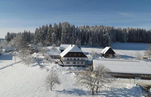 Ferienwohnung Ursprung - Foto 25