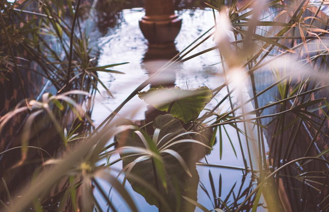 Villa Habibi Main House Ground Floor Suite - Foto 22