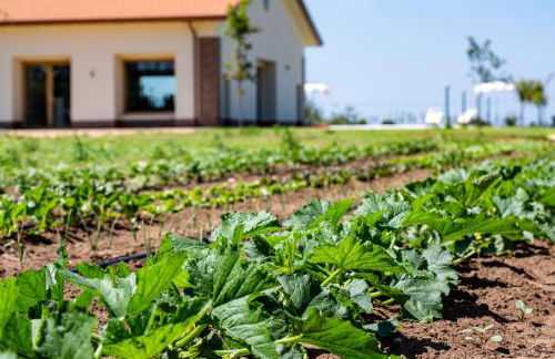 Agriturismo Acquachiara - Foto 7