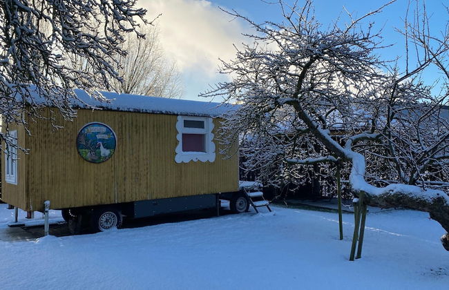 Gypsy Caravan in Weideblick With Farm Animals - Foto 1