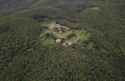 Mas Roquet - Foto 37