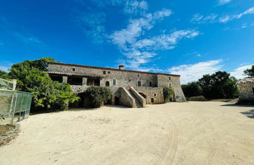 mas du Clap - Photo 33