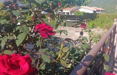 Village perfume - Photo 37