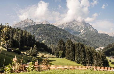 Biohof Untergröber - Foto 67