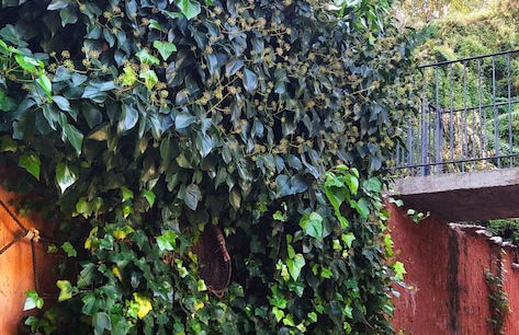 La Casa Gran - Foto 56