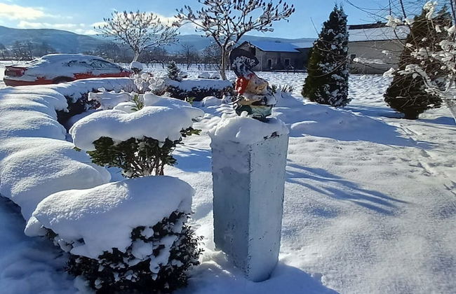 Holiday Home Kim - Foto 34