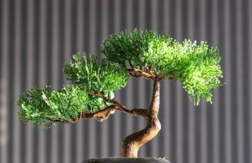 Newly Refurbed Home With Football Table Near M5 Junction 2 - Foto 24