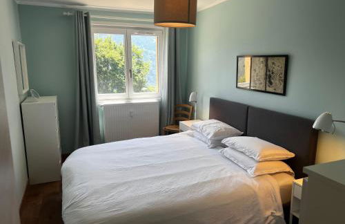 Vue du Mont-Blanc - Photo 13