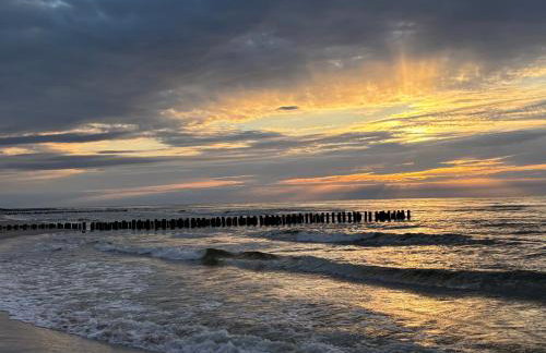 Apartament Sosnowy AKTENA Shellter Rogowo - Foto 31