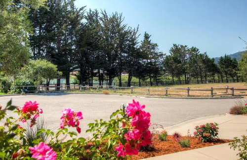 Serene Bungalow-Style Home in Point Reyes Station! - Foto 26