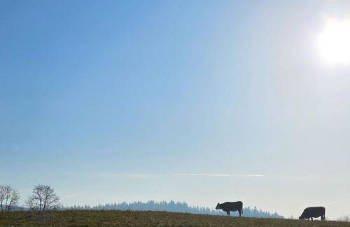 WALD WIESE cottage - Foto 27