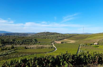 Quinta do Outono - Foto 18