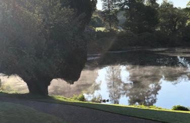 Tempo Manor Cabins - Foto 58