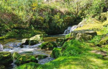 Apartamento C&C - Foto 37