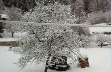 La Casa dei Bottoni - Foto 21