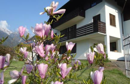 Casa Gregori - Foto 32