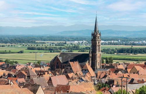 Apartment in Dambach near Vineyards - Foto 24