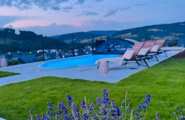 Apartament Krynica-Zdrój - Powroźnik -Muszyna- Dom na wzgórzu- House on the hill z basenem - Foto 3