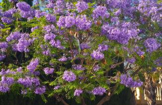 Villa with panoramic sea views - Photo 15