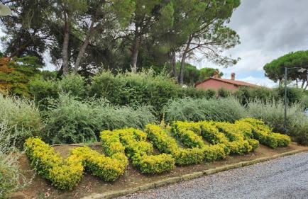 Agriturismo Il Sogno - Foto 7