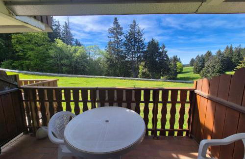 Charmant studio skis aux pieds Le Revard - Foto 10