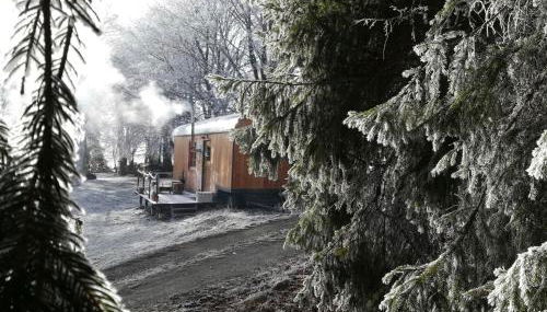 Benno der Wagen - kreativ gestaltetes Tiny House AM WALDRAND Nahezu Alleinlage Rennsteig Grünes Band NATUR PUR Hund willkommen - Foto 5