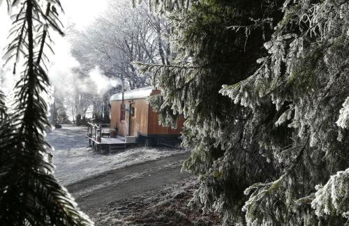 Benno der Wagen - kreativ gestaltetes Tiny House AM WALDRAND Nahezu Alleinlage Rennsteig Grünes Band NATUR PUR Hund willkommen - Foto 5