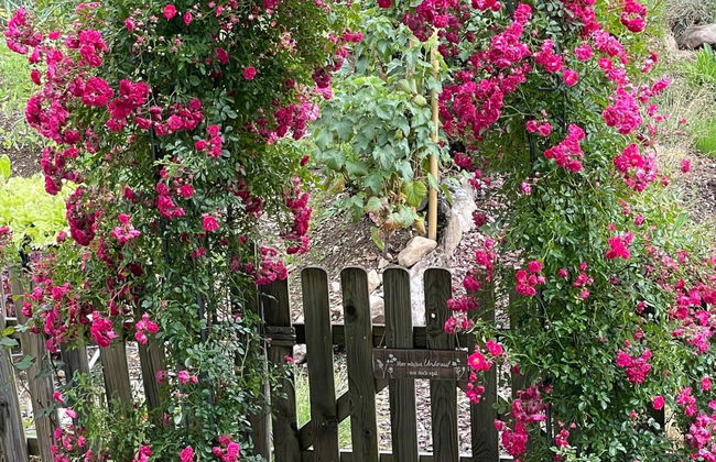 Chalet Bijou+ 1 OG - Foto 28