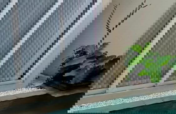 Abhaya Villa - Foto 30