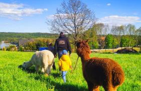Agroturystyka Zagroda Alpaka - Foto 65