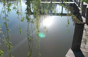 Apartman Abramović - Foto 28