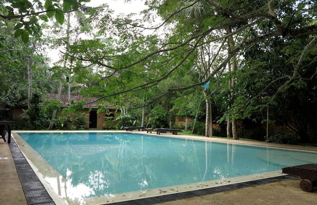 Bungalow Sud - Foto 15